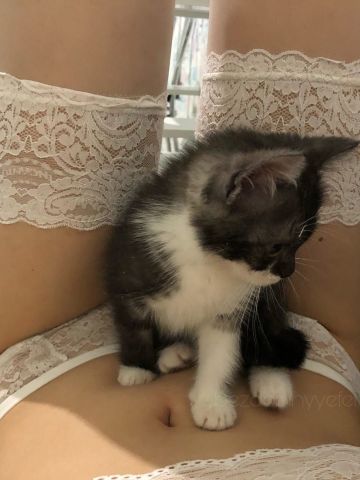 Олечка